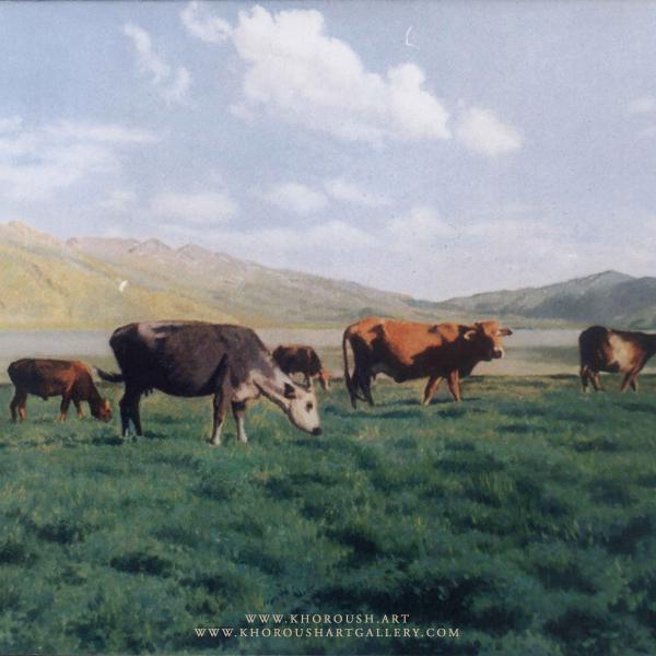 Herds of cows