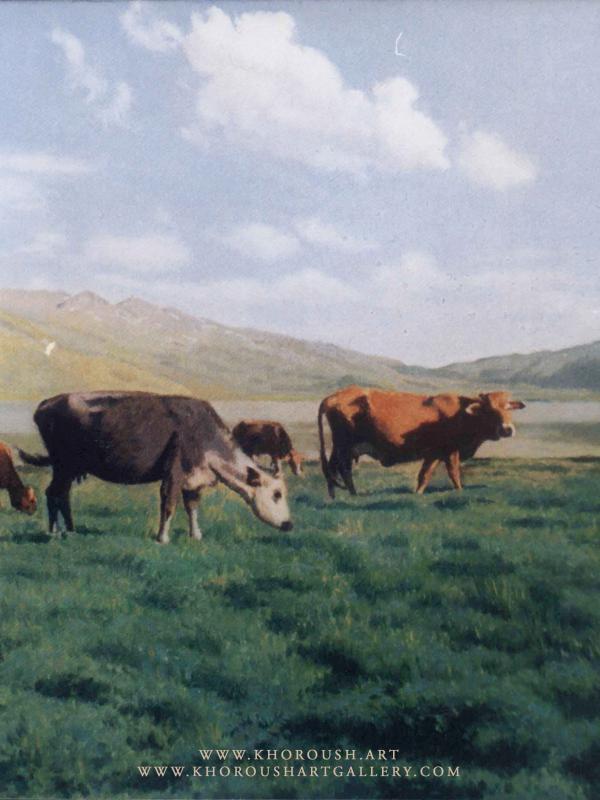 Herds of cows