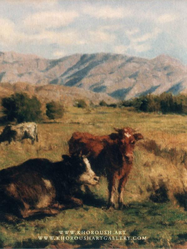 Herds of Cows